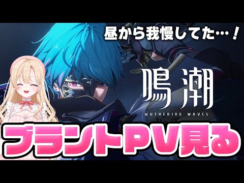 【#鳴潮】完全初見！ブラントのキャラPVを見ます！やばい予感しかないタスケテ１７９【初心者・初見さん歓迎/めいちょう/wuthering waves/wuwa/Vtuber】#鳴潮RALLY