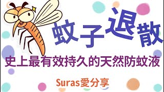 防蚊液推薦/最有效的防蚊液/純天然防蚊液/時效長的防蚊液/驅蚊方法/麻油防蚊液/史上最有效的防蚊液/環保好物/里仁商店/戶外防蚊的方法/在家防蚊的方法/戶外如何防蚊/在家如何防蚊/環保/友善地球