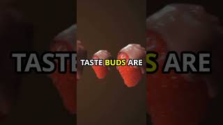 Mind-Blowing Facts About Your Taste Buds!