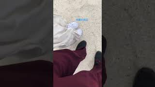 沖縄の風の強さがわかる動画