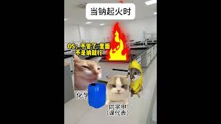 当钠起火时 #猫meme #化学 #化学实验 #万万没想到