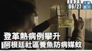 登革熱病例攀升  阿根廷社區養魚防病媒蚊｜大愛新聞 @DaaiWorldNews