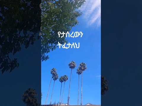 'አንተን ጠርቶ ማን አፈረ ' መዝሙርwithlyrics በተስፋ ጫላ #shortvideo #youtube #mezmur #ethiopian #shortsfeed