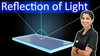 CBSE Class 8 | Light - Reflection of Light | Chapter 13 | Exam Winner CBSE 8