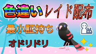 【自動貼り】色違い  最小証持ちオドリドリ レイド配布【ポケットモンスタースカーレット＆バイオレット】