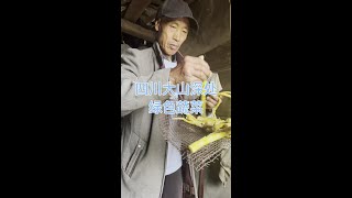 四川大山深处的绿色蔬菜，你知道啥啥吗 #种地大户 #乡村生活家 #每个人都在奔赴各自不同的人生 #人间烟火最抚人心 #努力成为更好的自己