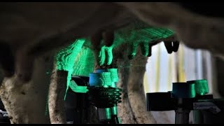 miRobot - Scanning and Detection Process| Automatic Milking Robot