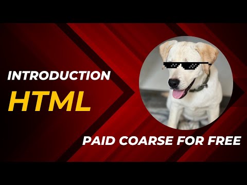 Introduction to HTML for Beginners | Doggu Code Full-Stack Web Dev Course (Part 1)