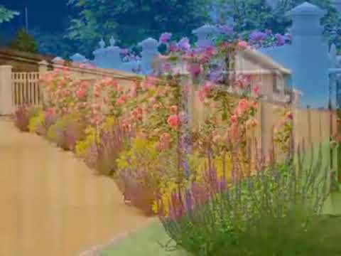 Fences