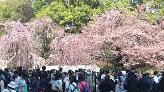 東京 上野公園