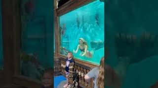 She wasn’t expecting that #shorts #travel #traveling #travellife #vacations