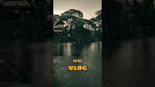 Avilon Zoo Mini Vlog! #shorts #minivlog #trending