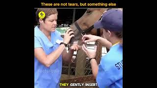 These are not tears, but something else