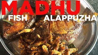 🌟 Madhu Chettan - Madhu's Cherthala, Alappuzha