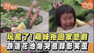 玩瘋了！萌妹拒回家悲劇 跌蓮花池爆哭爸錄影笑歪｜TVBS新聞｜擠看看 #Shorts