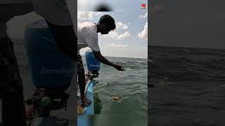 Catching Grouper Fish in the Deep Sea #fishing #fishingvideo #fishingtime
