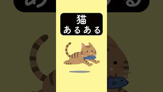 猫あるある　#あるある #あるあるネタ #あるあるシリーズ #あるある動画 #shorts #猫あるある
