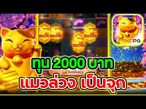 เว็บตรง เว็บตรงไม่ผ่านเอเย่นต์ เว็บตรงสล็อต เว็บตรงแตกง่าย