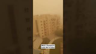 HUGE Sandstorm in Dubai #shorts