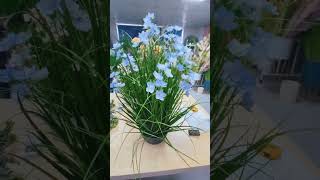 Artificial Plant #flowers #butterfly#fakeplants #fauxplants #plants #artificialflower #flowers