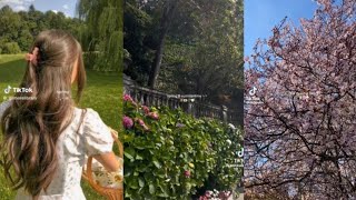 springtok 🌸 | tiktok compilation