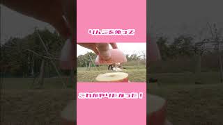 【ひろぴーファミリー】りんごがあったら絶対やりたいこと 【切り抜き】