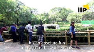 Learning Wildlife Photography at IIP was great experience