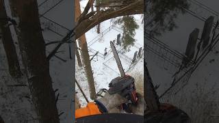 #арборист #arboristing #arborist #risk