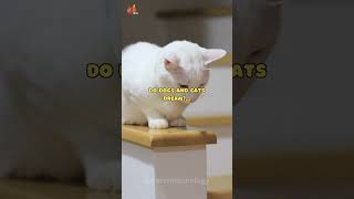 Do dogs and cats dream? #psychologyfacts #asmrfacts #animalfacts
