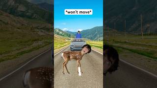 When Deer See A Car Coming Towards Them At Full Speed 🤣 #shorts #relatable