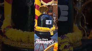 #shiva #haraharamahadev #omnamahshivaya #bhakti #trending #devotional #templetour #om