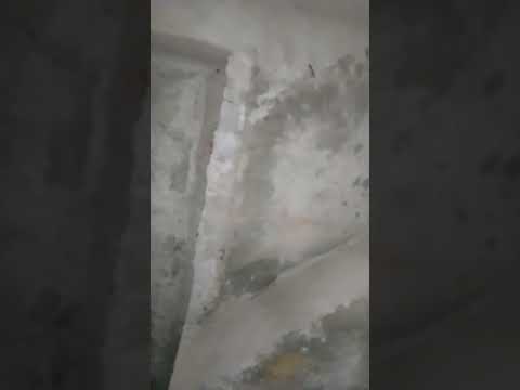 before using tiles soak it in water ... #construction #civilwork #civillife