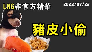 【LNG精華】我們豬皮少20包你有頭緒嗎？