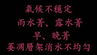 利展豐製茶  專利導流系統說明