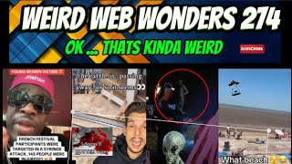 weird web wonders 274