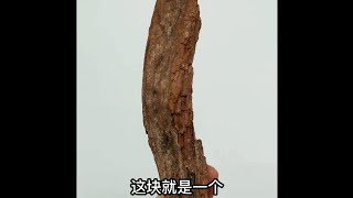 【漲知識】富森紅土，為什麼是最頂級的沉香？ 到底是種什麼土？