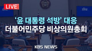 [LIVE] 더불어민주당 비상의원총회 생중계/2025년 3월 10일(월)/KBS