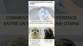 go les 3k #horror #monkey #disney #film #spooky #memes #questcequejedevraischoisir #humor #humour