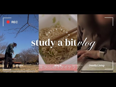 【社会人study vlog】通関士試験受けたい不健康アラサー契約社員の日常〜勉強全然進まない〜