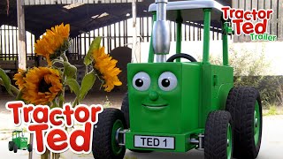 Sunny Seeds🌻 | New Tractor Ted Trailer | Tractor Ted Official Channel