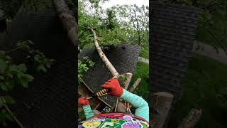 Karambit Grip Saw Cut — Birch Tree Precision Rig