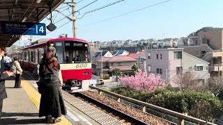 Keikyu train running on a spring holiday when flowers bloom in Yokosuka