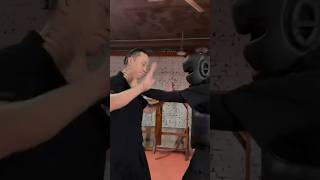 Wing Chun Self Defense Techniques-31 #wingchun #kungfu #martialarts #selfdefense #foryou #shorts