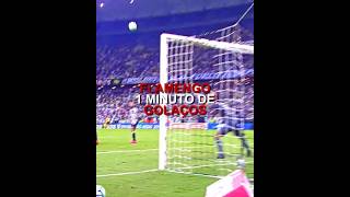 1 MINUTO DE GOLAÇOS DO FLAMENGO | parte 12 #rmnfc #flamengo #mengo #futebol #golaços #brasileirão