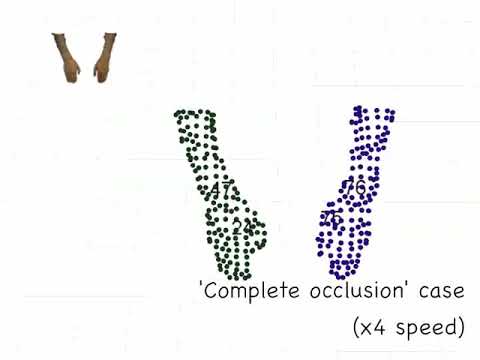 Multiple Object Tracking Using an RGB-D Camera by Hierarchical Spatiotemporal Data Association