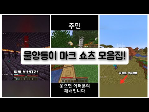 물양동이 마크 쇼츠 모음집 #1 (꿀잼보장 ㅋㅋ)