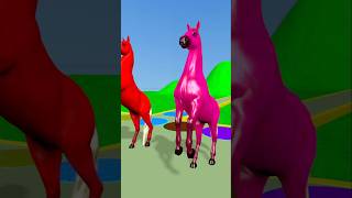 How One Horse Transforms To Five Colorful Horses 🐎