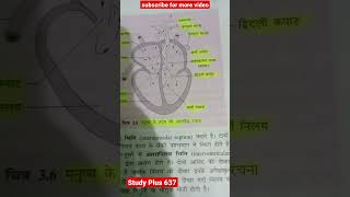 #मानव_शरीर_की_आंतरिक_संरक्षण #study #plus @studyplus6373#shorts #viral