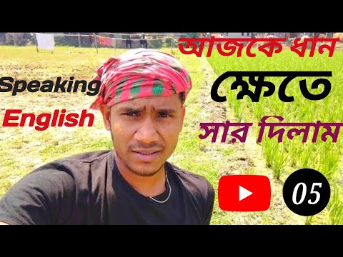 ভাতিজাকে সাথে নিয়ে ধান ক্ষেতে সার দিলাম || Speaking English || Paddy Field 🌾🌾