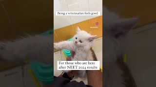 Reality of Veterinary Doctor ❤️✨🩺 #veterinary #neet2024 #nta #neet2024scam
